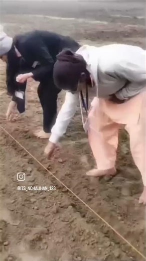 #field work from bsc agriculture student