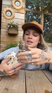 74K views · 4.1K reactions | I’ve seen a few videos of ducks being dyed rainbow colors over on the clock app today, here’s your sign to not do it! Feathers are very delicate, and ducks especially depend on their feathers being waterproof for their warmth and safety in water. Stripping a duck of their oils for any cosmetic reason is NEVER appropriate. #ducks #callducks #ducksoffacebook #petducks #duck #homestead #waterfowl #petdye | Cheese and Quackers Homestead | Facebook