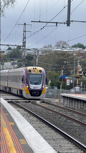 📍Pascoe Vale. 🎥: 29/6/2026
