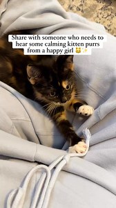43K views · 2.2K reactions | The best sound on the planet! They say it has healing properties and I sure believe it! Do you?  #purring #kittenpurr #rescuekitten ✨ don’t forget to like, share, save, comment! We’re up for a big bonus this month from Facebook and need all the help we can get!  | Kendall Rayburn | Facebook
