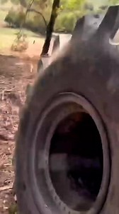 36K views · 333 reactions | Tire Could not Handle US Anymore whistlindiesel #whistlindiesel | World VibesvWhistlin Diesel | Facebook