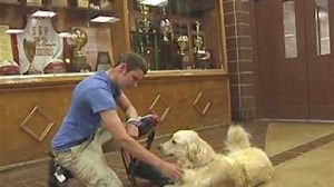 Dog's prosthetic leg inspires many