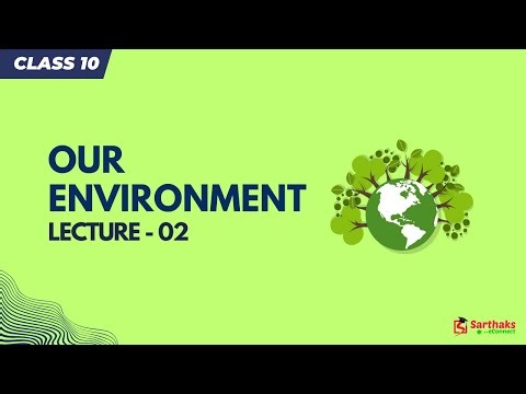 Our Environment L2 | NCERT Class 10 Science