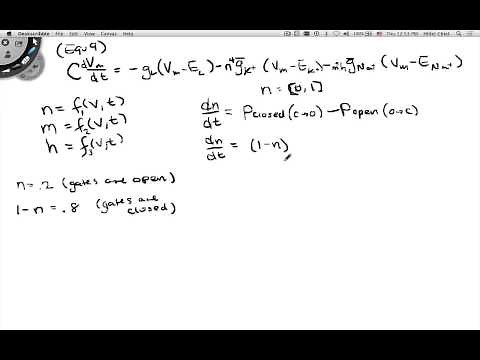 Hodgkin Huxley Equations