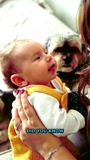 Cats 101: The Secret Truth About Our Feline Friends | Pet Education