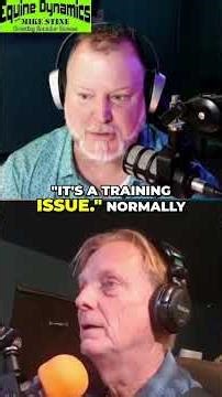 Horse Pain: Shoeing, Body Work, or Training? You Decide! #shorts