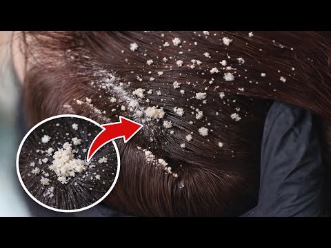 Soothing ASMR Hair and Scalp Treatment for Stress Relief