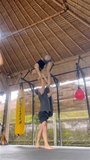 Climbing up humans for fun!