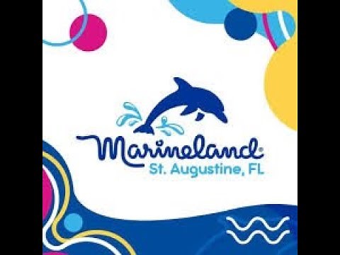 Marineland Dolphin Adventure Full Tour 2024