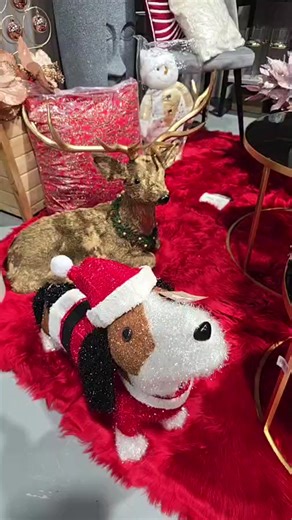 2.1K views · 31 reactions | Awe nos ta na Best Caribbean Brands Curaçao Store na Sta Maria! | Desiree's Gourmet | Facebook