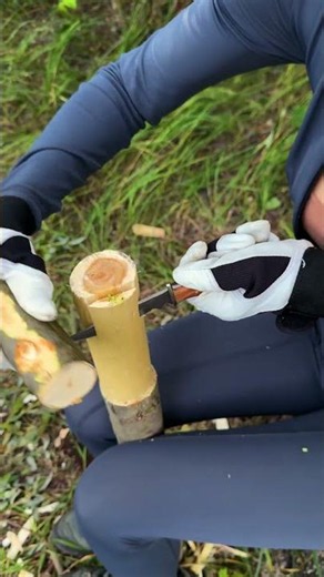Essential Survival Skills for Every Adventurer