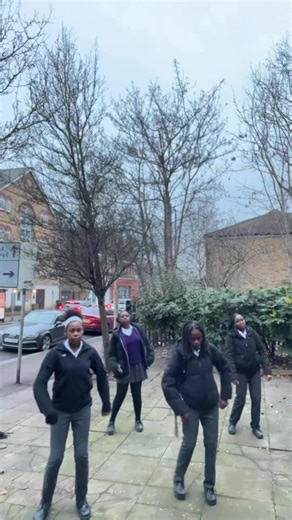 Professional Dance Performance and Choreography Showcase