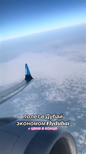 Полет в Дубай экономом Flydubai