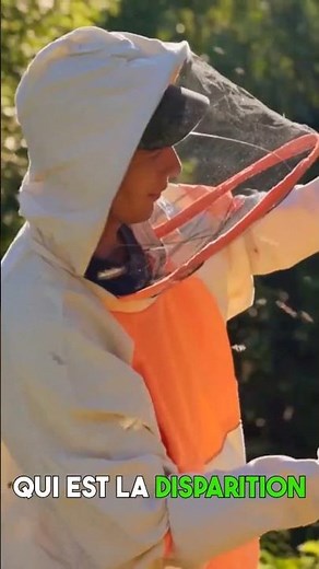 The Disturbing Disappearance of Bees