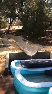 My neighbor is a talented swimmer 😀😀 #comedy #reaction #funnyshorts #funnyreels #funny | Rose Reactions