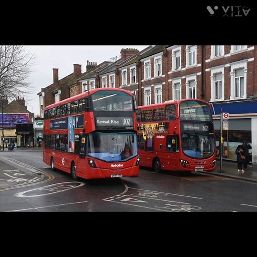 Every bus route that meets up with 302