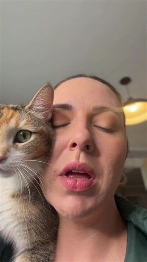 When kitty 🐈‍⬛ just does whatever she wants so now I have to put a tracker on her collar! Apple phone compatible. Can use this tracker anywhere! Kids backpacks, husbands lunch truck 🤭 #catstory #catoftiktok #catsofttiktok #kittycatsoftiktok