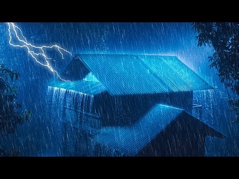 Rainy Night in the Forest 🌙 Deep Relaxation & Sleep Therapy with Tin Roof Rain Sounds