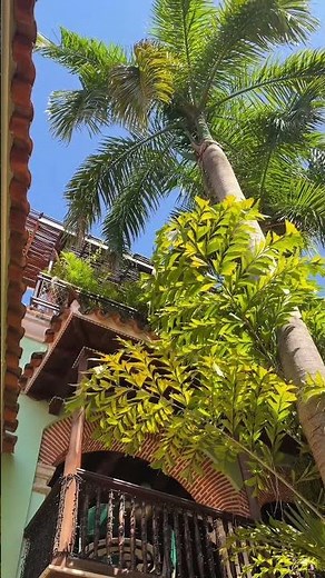 POV: staying at a Spanish colonial hotel in Cartagena 🇨🇴