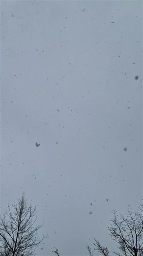 Snowfall in Spring – Quiet & Calm | Switzerland