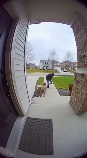 Trapbox Channel – Catching Package Thieves in the Act