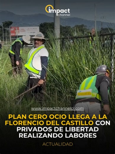 Plan Cero Ocio: privados de libertad realizan limpieza en autopista Florencio del Castillo