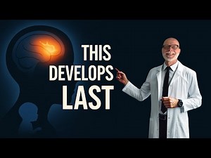 Why Executive Function Is the LAST Brain Skill to Develop (and Why It Matters Most)