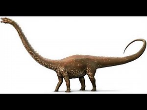 Diplodocus Sound Effects