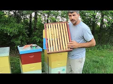 Supering Bees for Nectar (Honey) Flow