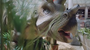 Das war unsere zweiwöchige Dinosaurier-Ausstellung im FISCHAPARK! 🦖 Hier gibt's die Highlights der Urzeit-Giganten zum Nachschauen! 🤓 | FISCHAPARK