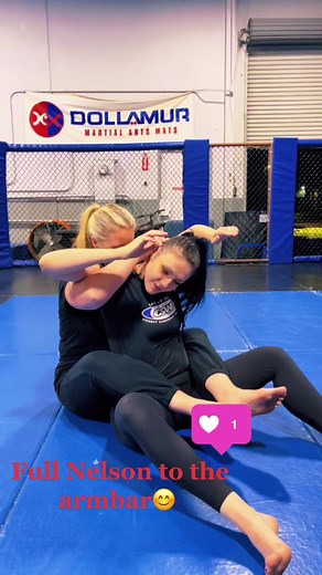 Full Nelson to Armbar - Wrestling Training Move