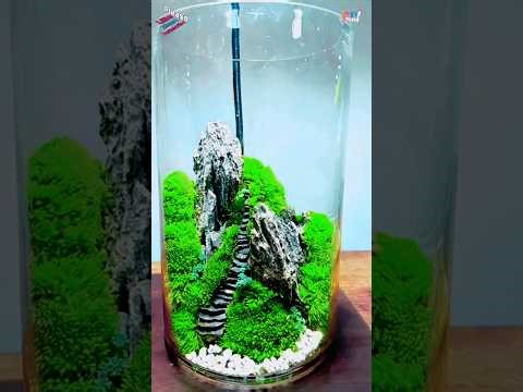 Create Your Own MINIATURE Terrarium Ecosystem in Glass #shorts