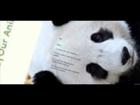 How to do research on the internet, effectively