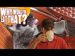 Kopi Luwak aka Cat Poop Coffee - Why Would You Eat That?