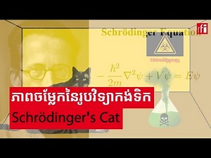 រូបវិទ្យាកង់ទិក៖ អនុគមន៍រលកកង់ទិក និង Schrödinger's Cat