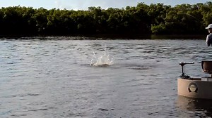 Come see us at the Louisiana Sportsman Show in the Salter's Jigging Poles Booth in the Sportsman Zone | Roundabout Watercrafts