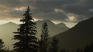 Targeting 'The Last Frontier': Mexican cartels send drugs into Alaska, upping death toll