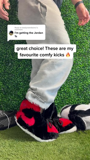 Sneaker Slippers Review