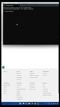 Dell Pro 16 Plus PB16250 LAN Driver Download & Install (2026)