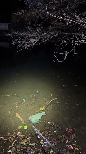 My Thigh Swollen After Slap Missed the Big Win! Unbelievable Turn of Events Fail Win SLAP