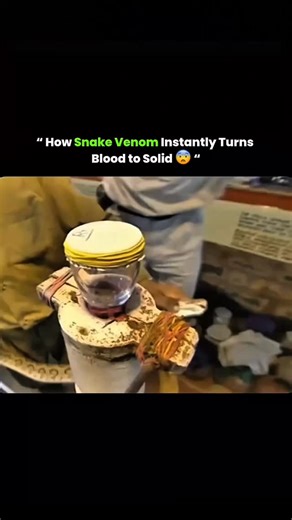Random Clips | Snake venom contains specialized proteins and enzymes that target the blood. Some venoms have procoagulants, which trigger rapid clotting,... | Instagram