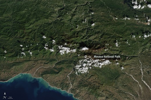Hispaniola's Changing Forests - NASA Science