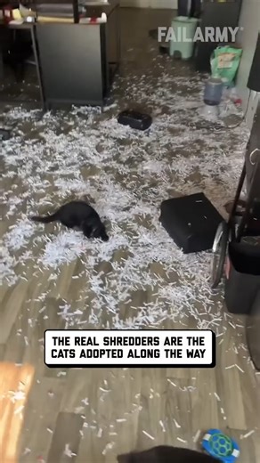 139K views · 127 reactions | shredded #fails #funnyvideos | FailArmy | Facebook