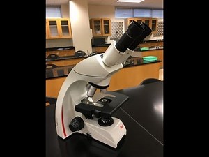 Microscope Parts Usage