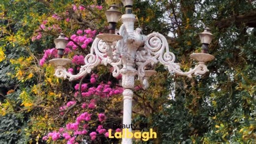 HAPPY DAYS on Instagram: "📍Lalbagh 🍂 #lalbaugh #Bangalore #traveling #happyday"