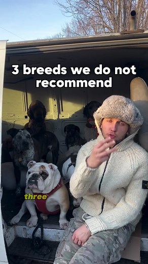 CherryHoggs on TikTok