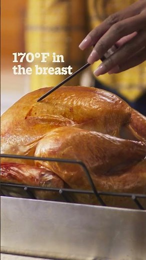 Butterball Turkey Talk-Line: Turkey Temps to Know