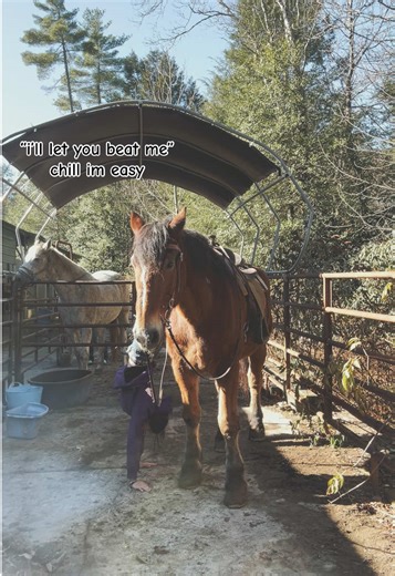 #tuff #hoesbetrippen #chillimeasy draft