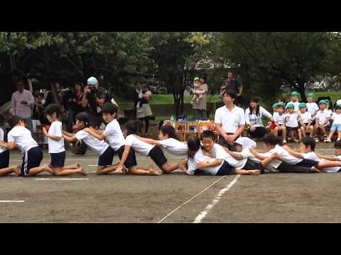 組み体操ドミノ2013