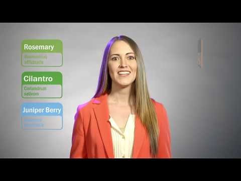 Kick Start Your Weight Loss Journey with a Healthy Cleanse using Zendocrine® Essential Oil